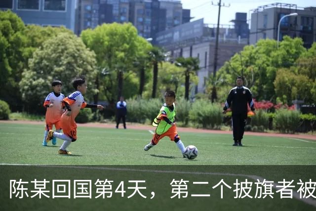 陈某回国第4天，第二个披旗者被揪了出来！现形后想销号赶紧跑路