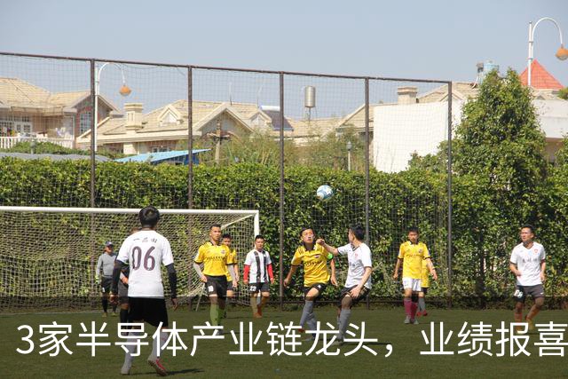 3家半导体产业链龙头，业绩报喜！