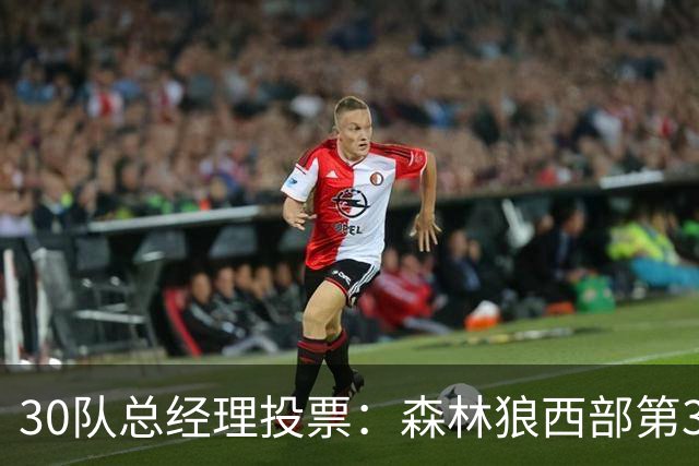 30队总经理投票：森林狼西部第3，却又被选为最难预测